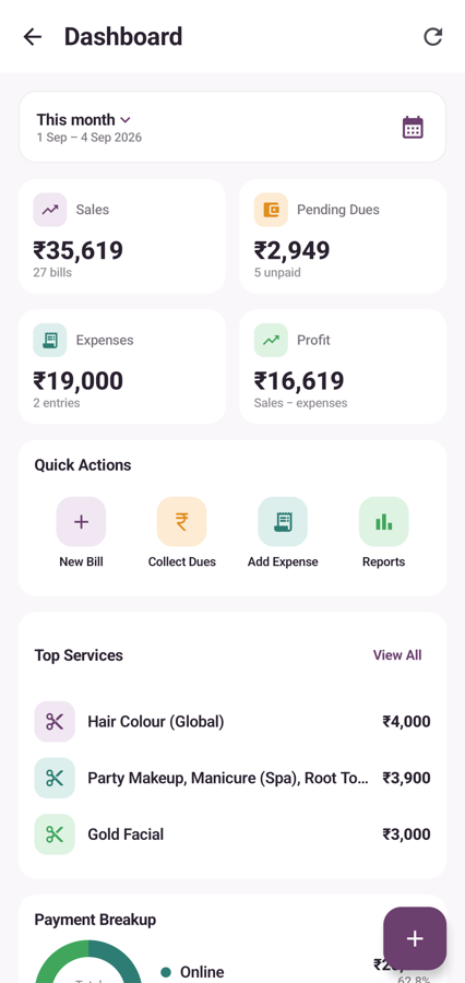 Sales, dues, expenses and profit for the month with top services